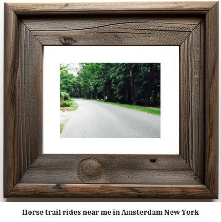 horse trail rides near me in Amsterdam, New York